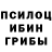 Галлюциногенные грибы Magic Shrooms Irshat Arslanov