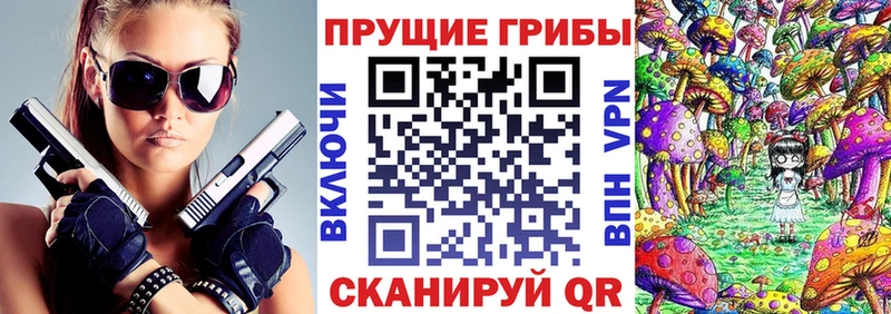 Купить где  Галич  Галлюциногенные грибы Cubensis 